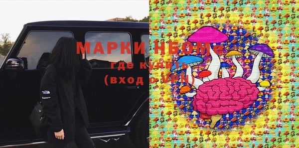 PSILOCYBIN Балахна