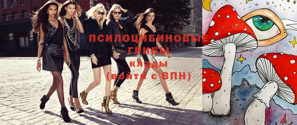 ешки Арсеньев